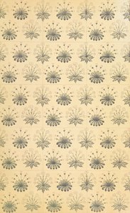Design Arts and Crafts da William Morris